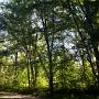 <p align=left>Arrivées à North Conway,nous nous sommes installées au camping Saco River, situé en plein milieu du village, mais sur le bord d'un rivière et entouré de beaux arbres.